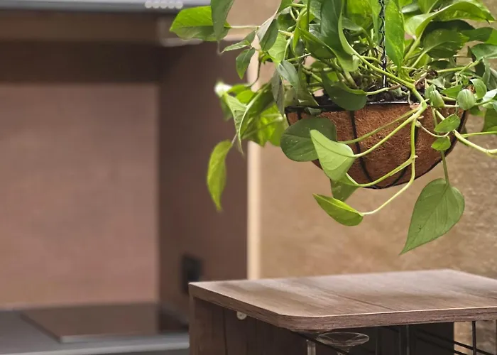 Affittacamere Corte Dei Pini